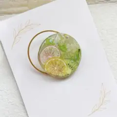 no.365 グリーンフルーツ　ヘアゴム/ポニーフック/ブローチ　ハンドメイド