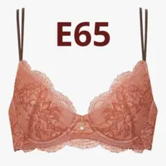 E65 ワコール ウイングレシアージュ 3/4カップブラ 総レース