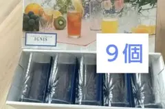 IGNIS イグニス硝子タンブラー グラス 9個セット 石塚硝子