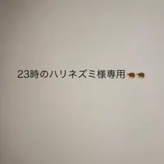 23:00 에는 고슴도치 전용