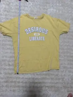 COLZA カレッジロゴ Tシャツ イエロー L
