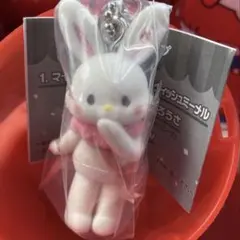 산리오 実写版ミニチュアチャーム ウィッシュミーナル 가챠