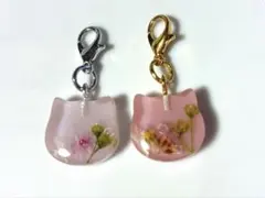 猫　チャーム　訳アリ