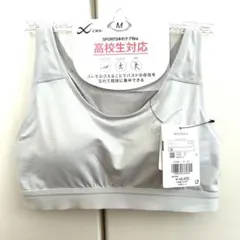 Item thumbnail for item 7f8d0dd8-5cb2-41e1-ab7f-7c9ed23f266a