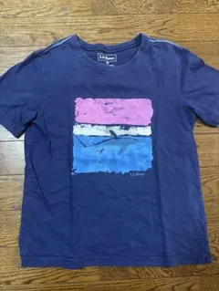 LL Bean エルエルビーン　キッズTシャツ　130くらいのサムネイル