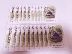 ワイテルズ　シクテルズ　シャークん