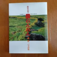 鹿児島発農れんれん : 英伸三写真集