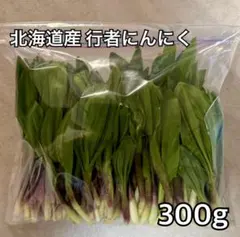北海道産 天然 行者にんにく(アイヌネギ、キトピロ) 300g - メルカリ