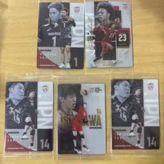 石川祐希スペシャルイラストカード男子バレーボール日本代表 ツインウエハース