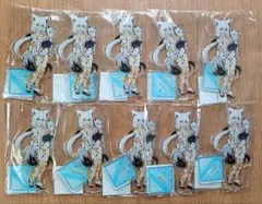 ホロライブ 白上フブキ 等身 アクリルスタンド 浴衣ver. 10点セット
