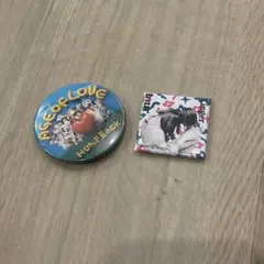 Hump Back(ハンプバック) ガチャガチャ バッジ2個•めじるしチャーム
