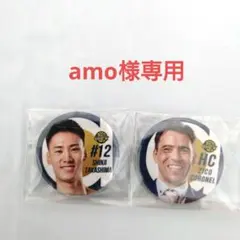 宇都宮ブレックス　缶バッジ