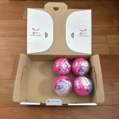 東京ディズニーランド パルパルーザ ミニー カプセルトイ 全4種 コンプ ポーチ