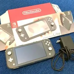 任天堂 Switch Lite グレー ACアダプター、カバー、保護シール付