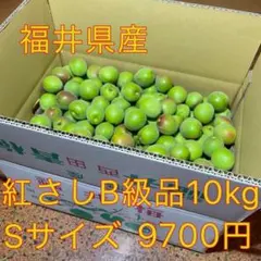 121♠️♦️青梅10kg Mサイズ　B級　紅さし 121❤️♦️青梅10kg Sサイズ B級 紅さし - メルカリ