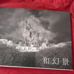 Item thumbnail for item 87f0392f-cbcd-4ab1-bdbc-a297219be912