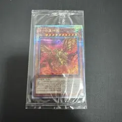2026年最新】ラーの翼神竜 25th 未開封の人気アイテム - メルカリ