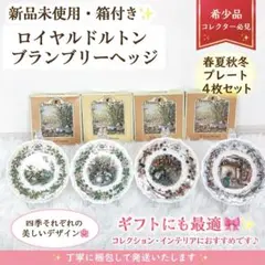 【新品未使用】 ロイヤルドルトン　ブランブリーヘッジ 春夏秋冬 プレート　4枚のサムネイル