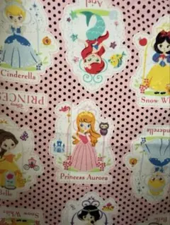 ディズニープリンセス 生地 はぎれ