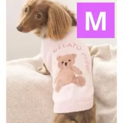 ジェラートピケ【CAT&DOG】ベアジャガードプルオーバー M 犬 服 ピンク