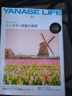 Item thumbnail for item 458bef6e-26ab-4627-ad31-ffa2b161eab3