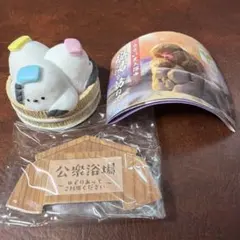 【可愛い！！】秘湯を訪ねて ただいま入浴中 カプセルトイ
