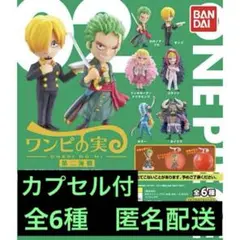 【特価】ワンピの実　まとめ売り　144個 2025年最新】ワンピの実まとめ売りの人気アイテム - メルカリ