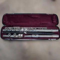 Item thumbnail for item 0a2e22e6-dd8c-4849-b400-ac1b3b1915b1