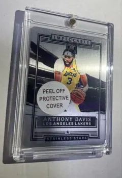 99枚限定　Anthony Davis Impeccable stainless