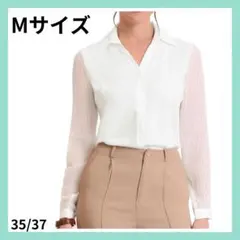 ✦最安値❤️Vネックブラウス シャツ 長袖トップス Mサイズ シースルー 白