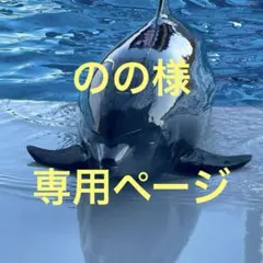 のの様専用ページ