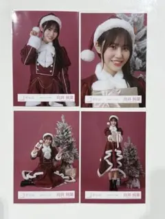 櫻坂46 2025年 サンタ 生写真 4種コンプ　向井純葉