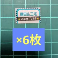三宅弘城　原田泰造　TVLIFE　応募券