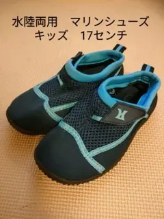 Item thumbnail for item 976add51-f5ea-4846-ba9e-923ec9509935