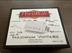 Item thumbnail for item ae12eab5-f5ef-4693-9005-1a95f962cabc