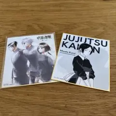 John Frusciante レコード2枚セット - メルカリ