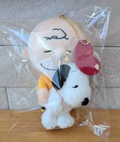 ユニバ　スヌーピー　チャーリーブラウン　ぬいぐるみ　usj　キーホルダー