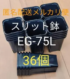 スリット鉢 7.5cm 黒 角型 ロングタイプ EG-75L型 36個のサムネイル