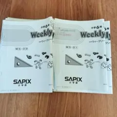 【2025年度最新版】サピックス　算数6年 デイリーサピックス sapix 6年 2023年 算数 デイリーサピックス＋デイリーサポート+土特