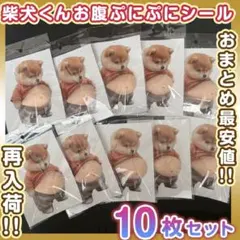 柴犬 ステッカー おなか ぷにぷに シール 3D ぷっくりお腹 いぬ 10枚