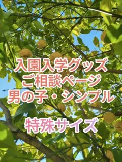 入園入学グッズ　レッスンバッグ　ご相談ページ　男の子　特殊サイズ