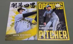 Item thumbnail for item f88f22e6-6d9a-4d1e-91fd-4177b80ace0b