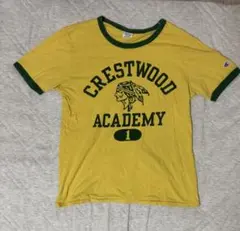 champion リンガーtシャツ　ビンテージ　レア