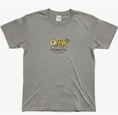 Item thumbnail for item 016333b6-d25e-40b0-b249-d9bcfa912f10