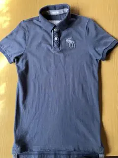 Abercrombie &fitch  ポロシャツ