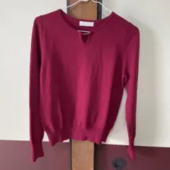 anySiS ニット　美品　バーガンディ 長袖 トップス サイズ2