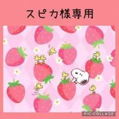 ユキエモンキャビネットポーチオーダー 8月27日発売【WACKO MARIA x Vault by Vans Authentic】チーター