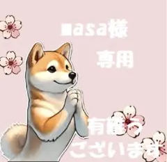 【masa様　専用】