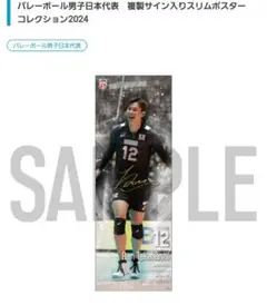 川合俊一＆高橋藍 サイン色紙 2025年最新】高橋藍 サインの人気アイテム - メルカリ