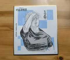 呪術廻戦展 色紙コレクション 全種セット（全24種入り） - メルカリ